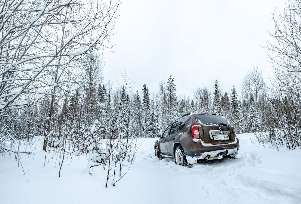 Photograph by Алексей Ильин