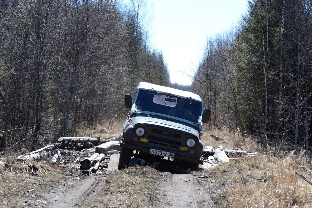 Photograph by Алексей Ильин