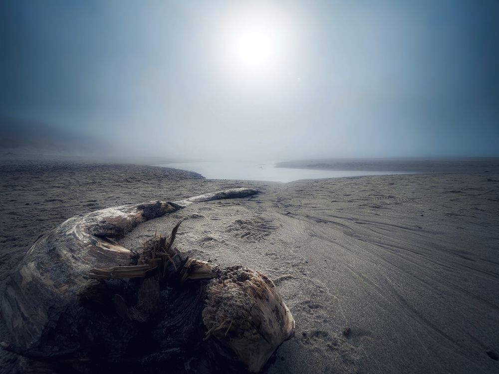 Photograph by Ирина Саакова