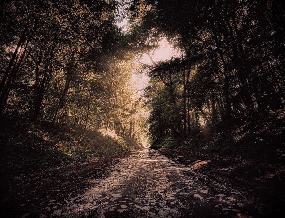 Photograph by Ирина Саакова