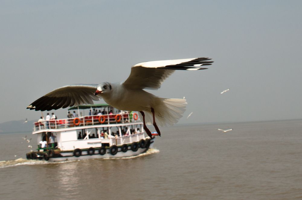 Photograph by Анатолий Румачик