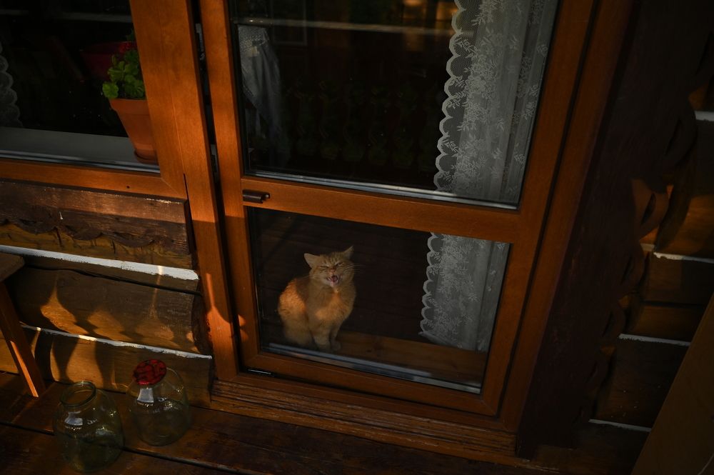 Photograph by Ленария Асянова