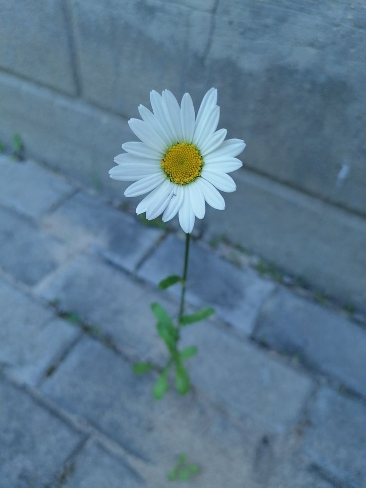Photograph by Татьяна