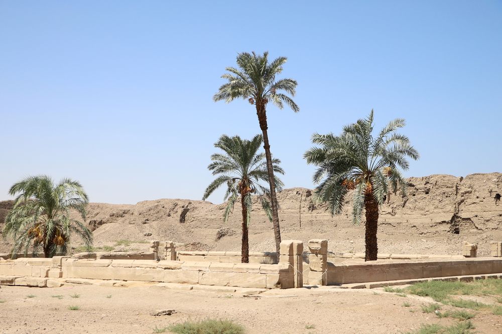 Photograph by Светлана Жорнова