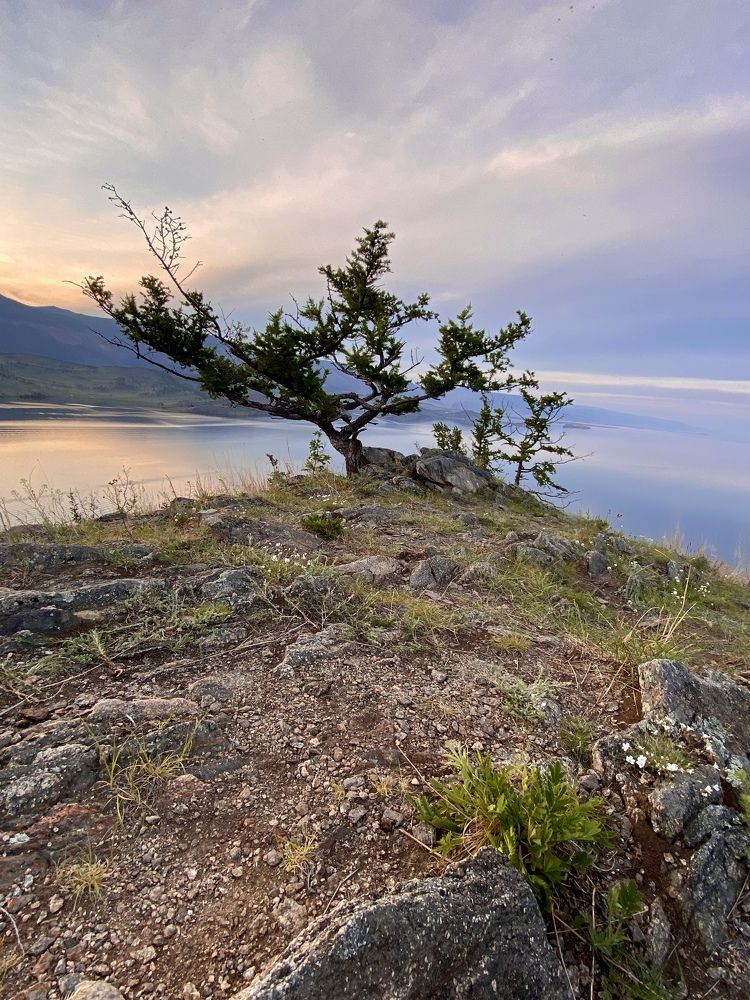 Photograph by Константин Костин