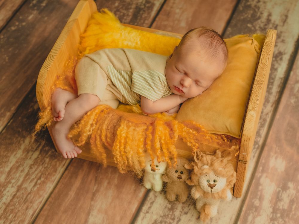 Photograph by Katrin Radish