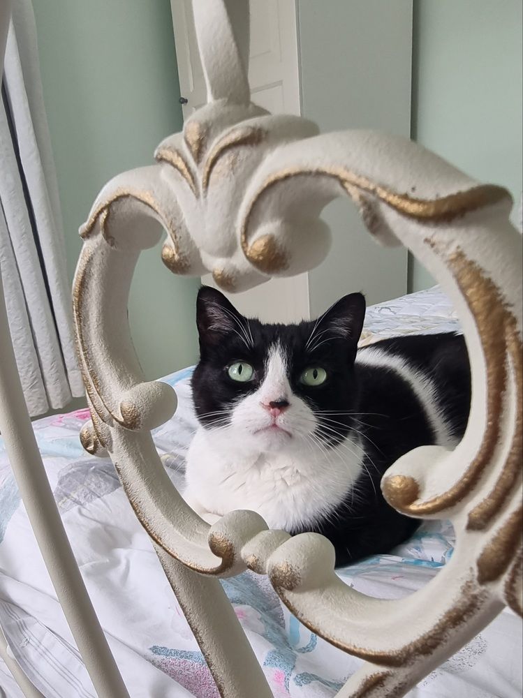 Фотография автора Elvira Cutler