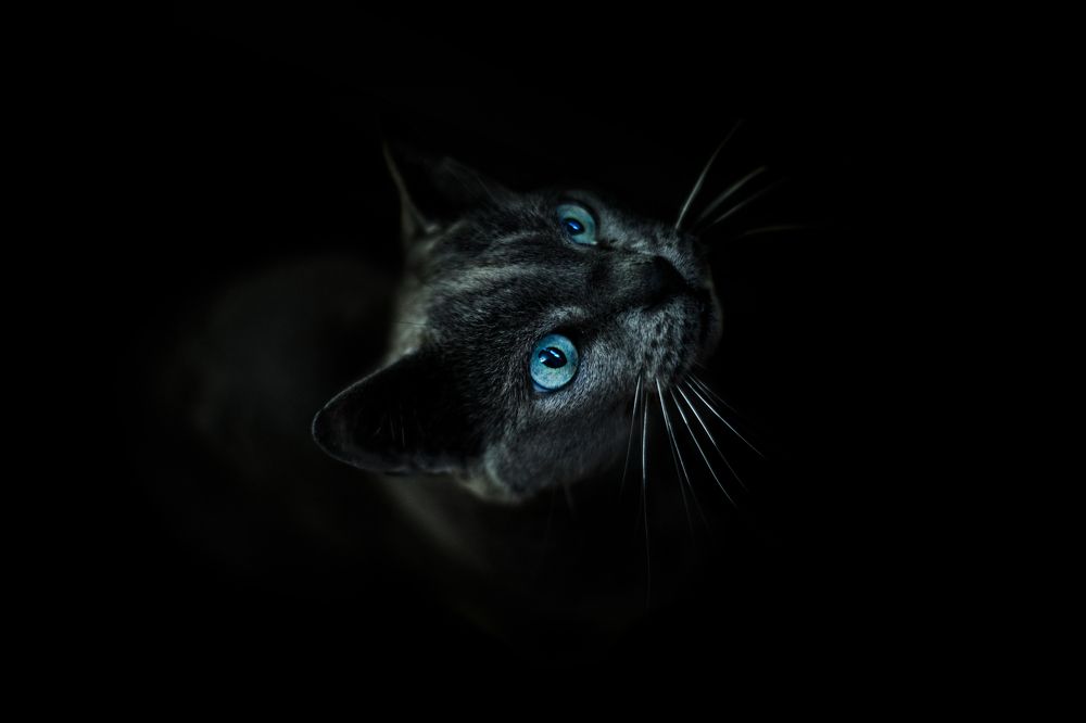 Photograph by Randy Betancourt