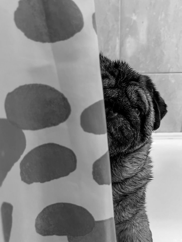 Photograph by Dmitrii Zabuga