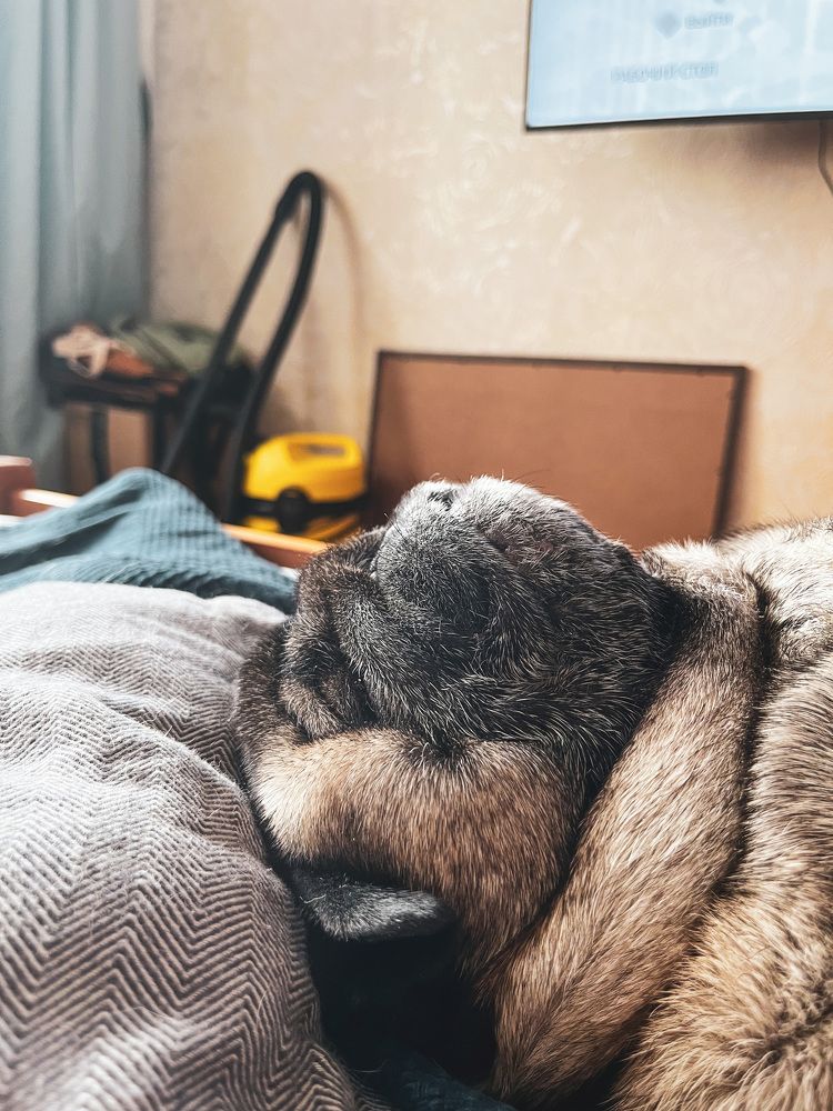 Photograph by Dmitrii Zabuga