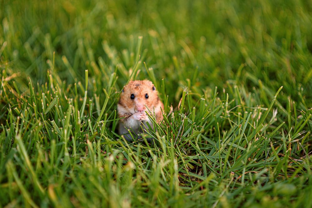 Photograph by Юлия Шестопалова