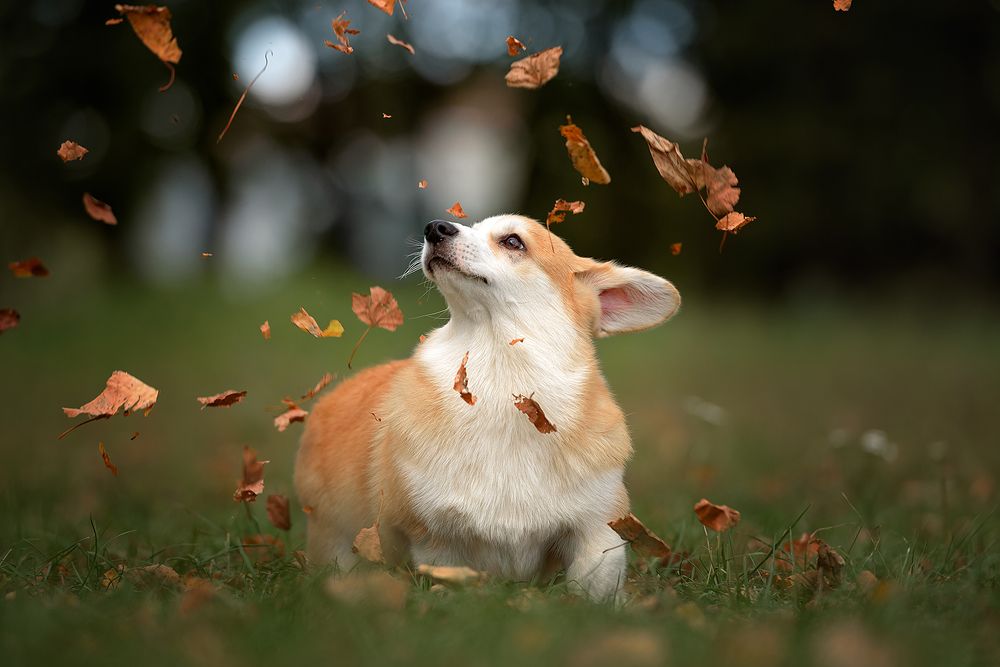 Photograph by Анна Титова