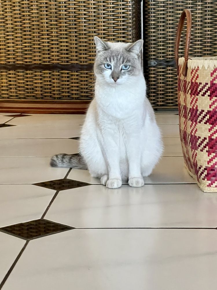 Photograph by Christine ECHEVET-ADAM de VILLIERS