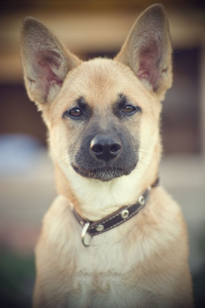 Photograph by Константин Гудков