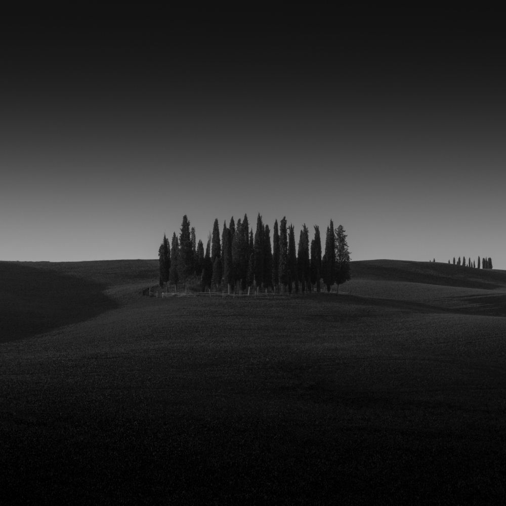 Photograph by Антон Шваин