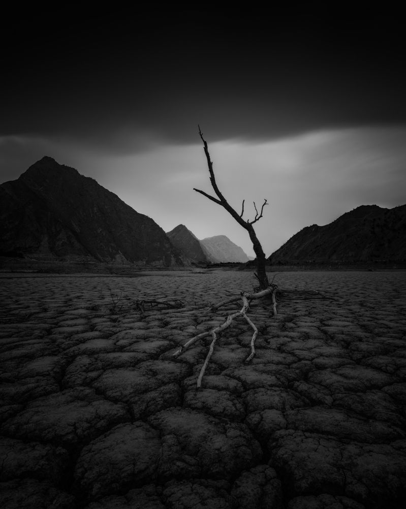 Photograph by Антон Шваин