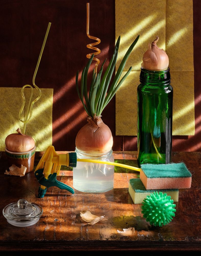 Photograph by Олеся Неволина-Лопатина