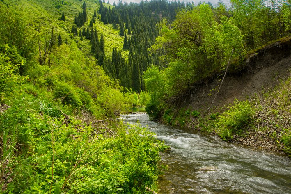 Photograph by Елена Прохорова