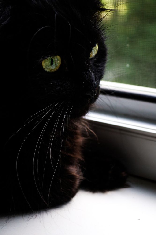 Photograph by Оксана Хабарова