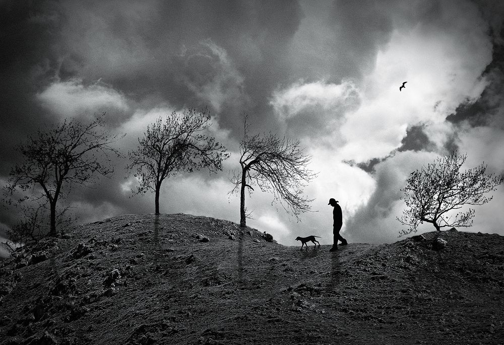 Photograph by Rovagnati Daniel