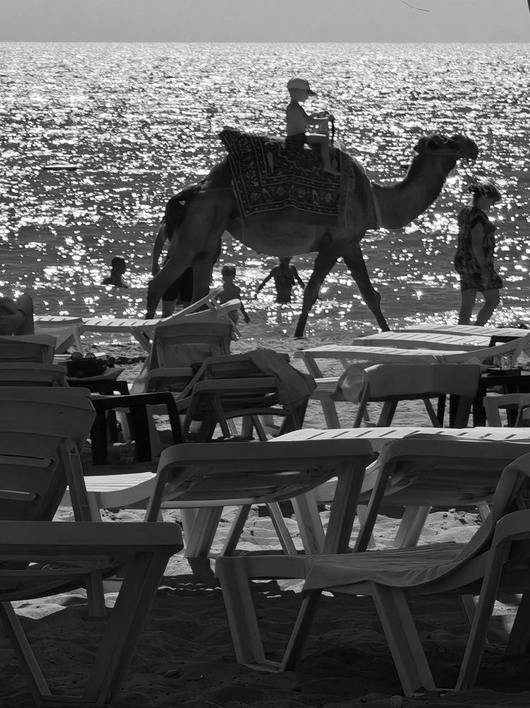 Photograph by Наталья Круглова