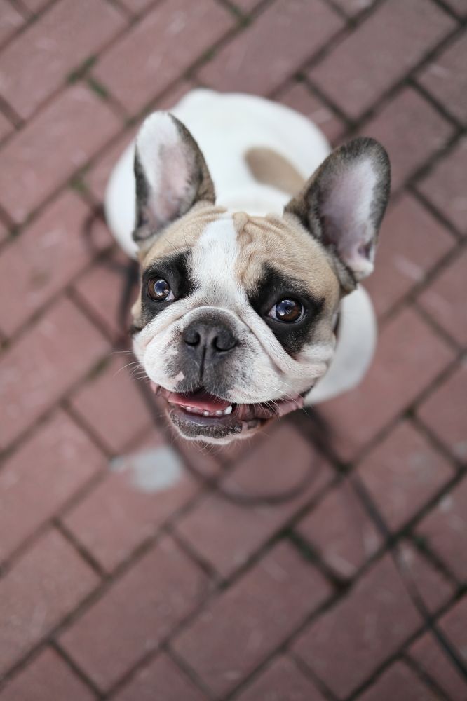 Photograph by Екатерина