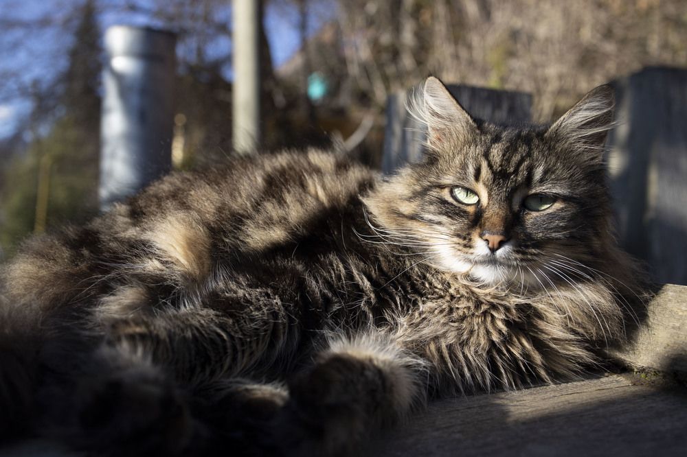 Photograph by Екатерина