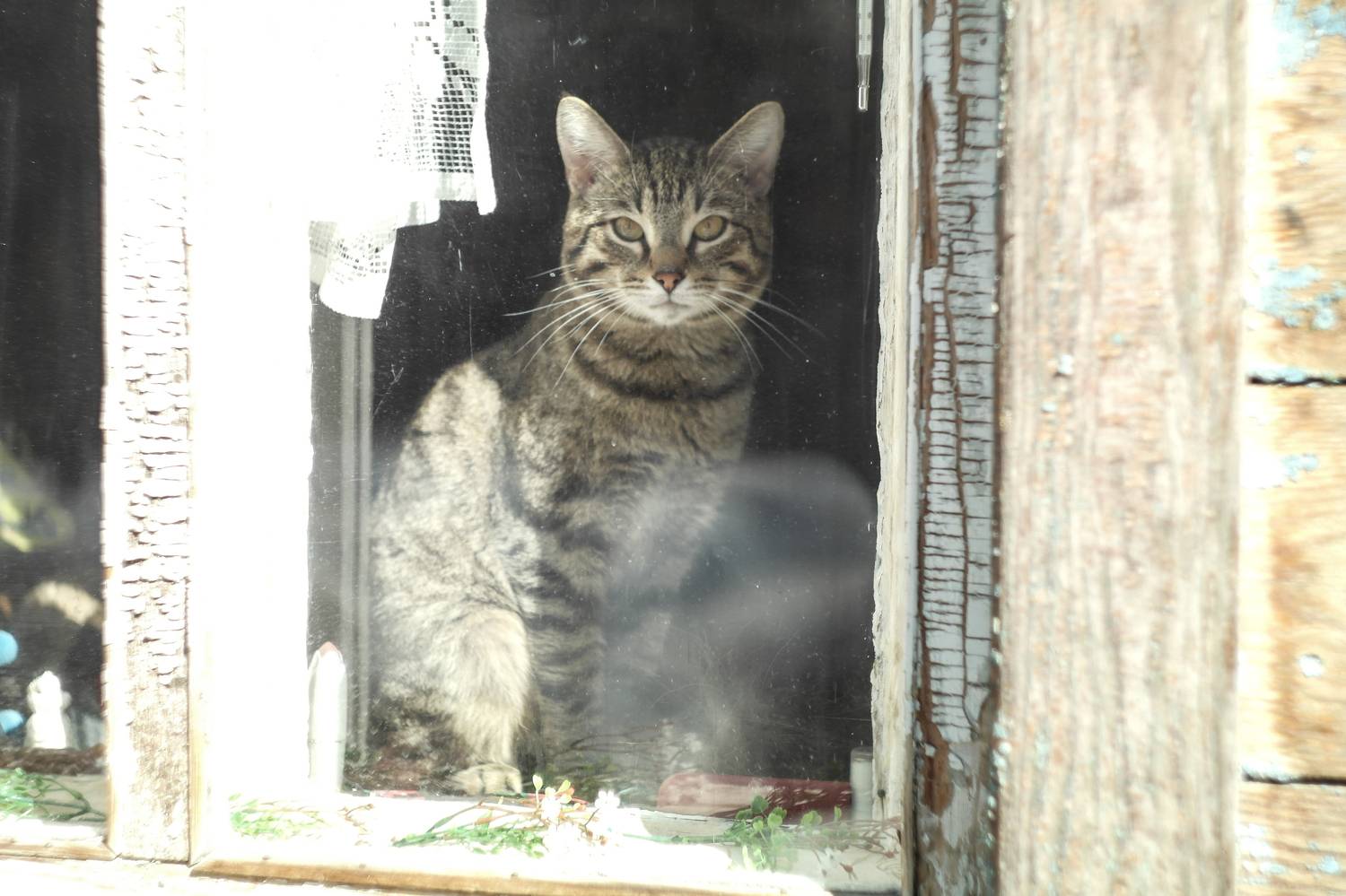 Photo #7672271