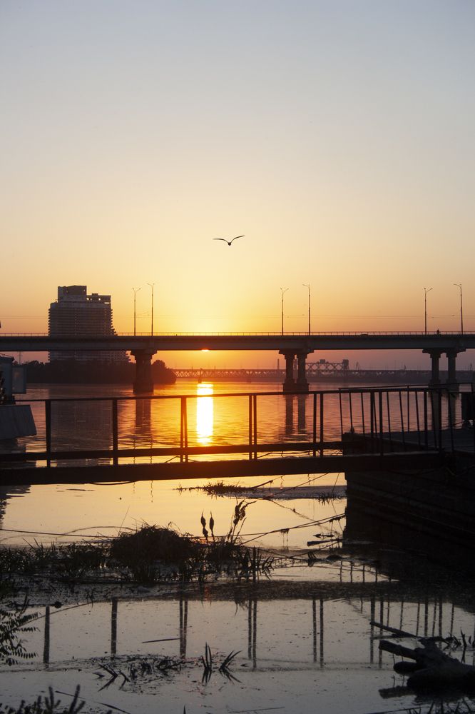 Photograph by Нелли Золотая