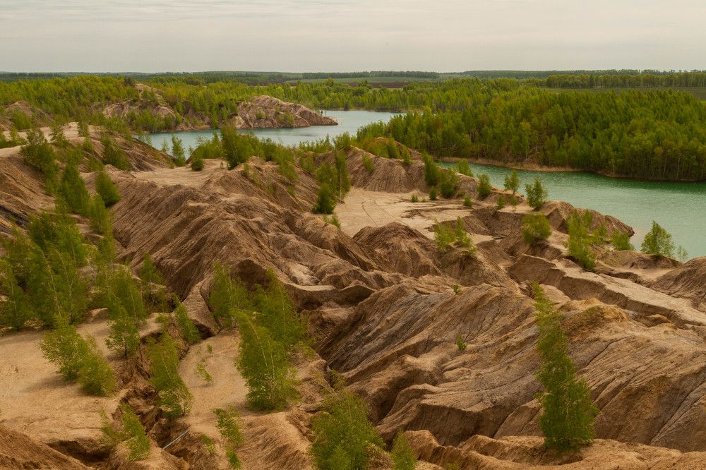 Фотография автора Тимофеев Алексей