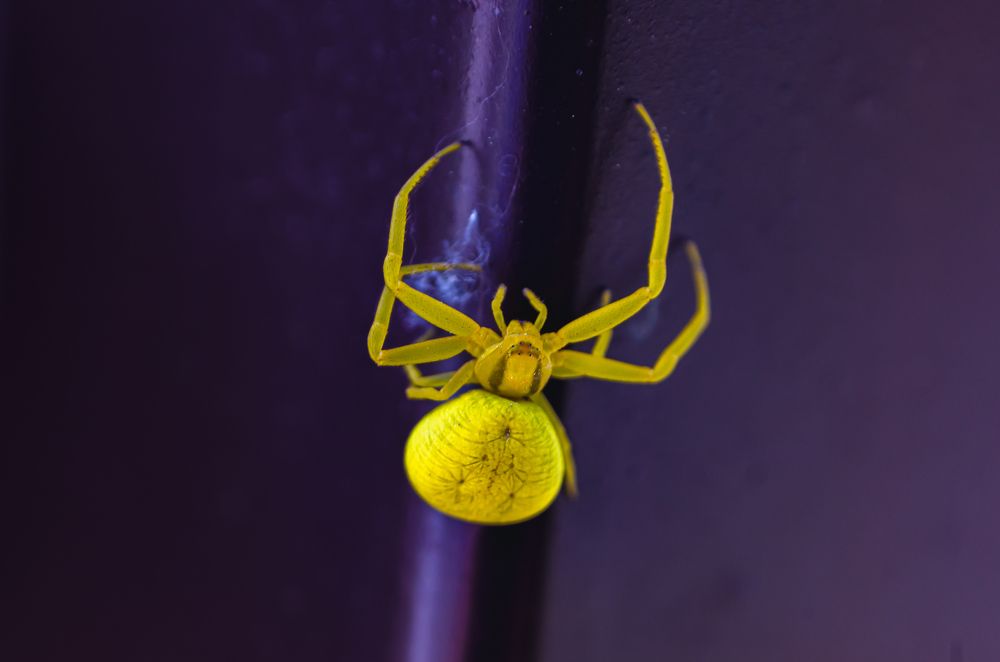 Photograph by Кирилл Шарапов