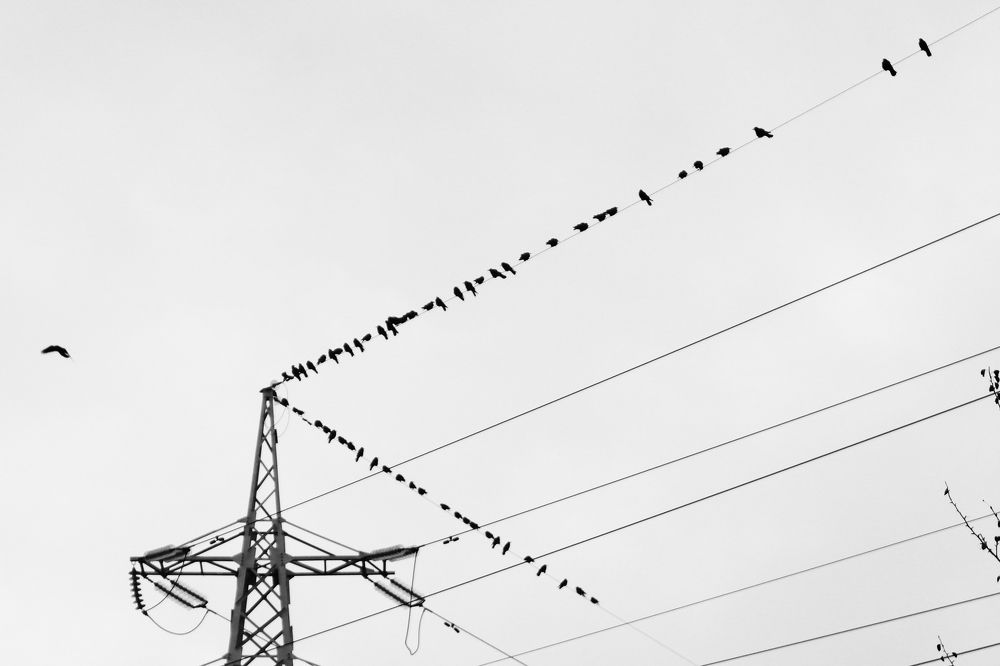 Photo #7672365