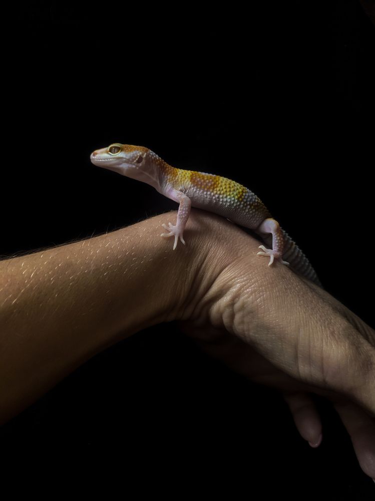 Photograph by Ольга Кишкилевич