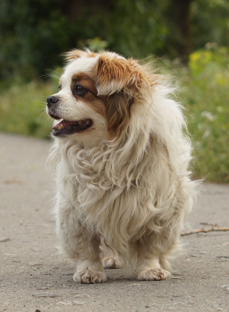 Photograph by Danyliuk Ruslan