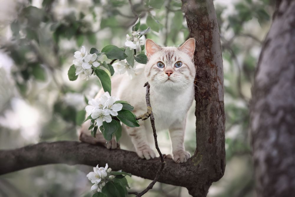 Photograph by Светлана Федоренко