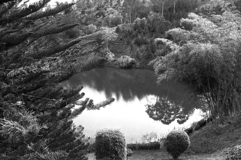 Фотография автора Yako Laverde