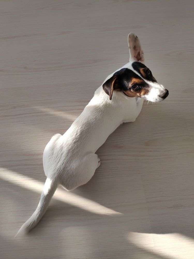 Photograph by Светлана Смирнова