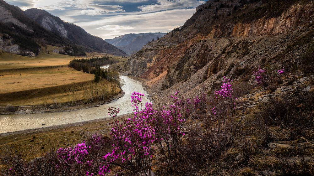 Photograph by Сергей Андреев