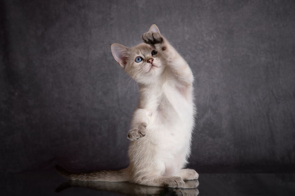 Photograph by Светлана Федоренко