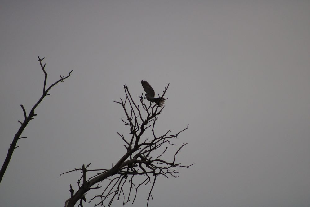 Photograph by Andre Beygijani