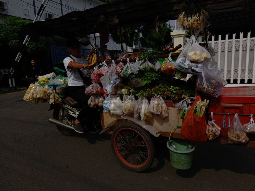Vegetable seller