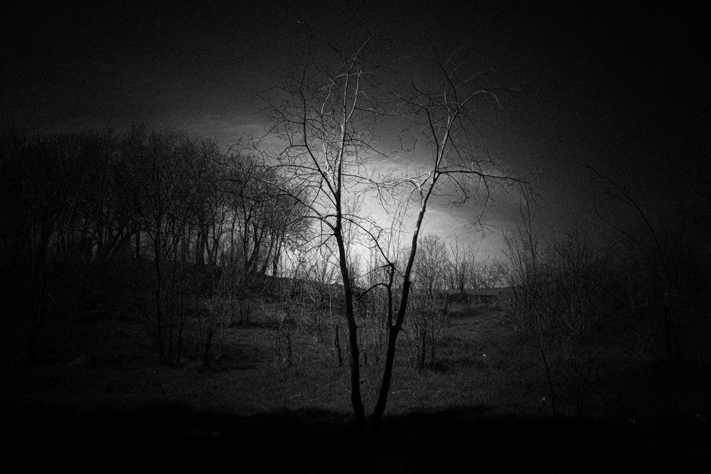 Photograph by Andre Beygijani