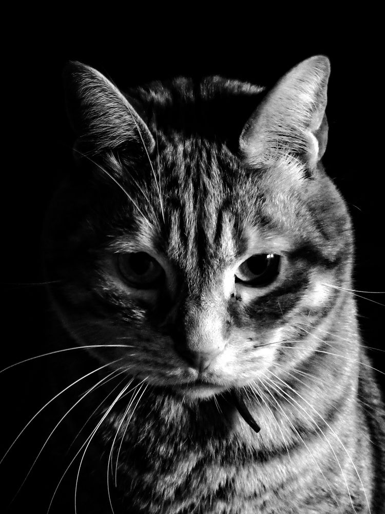 Photograph by Maria Cristina Artale