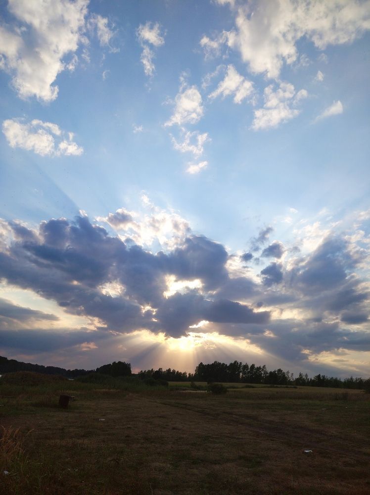 Photograph by Елена