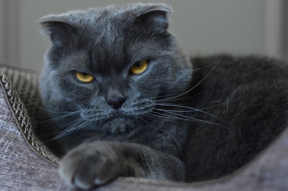 Photograph by Алексей Парамонов