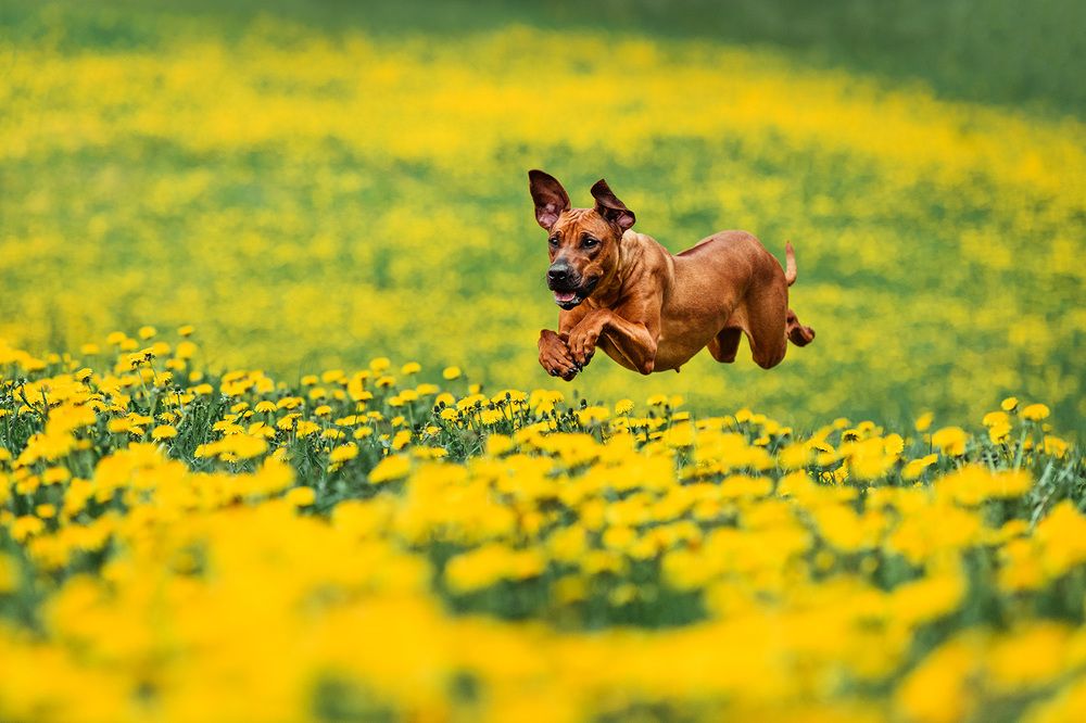 Photograph by Ольга Хазай