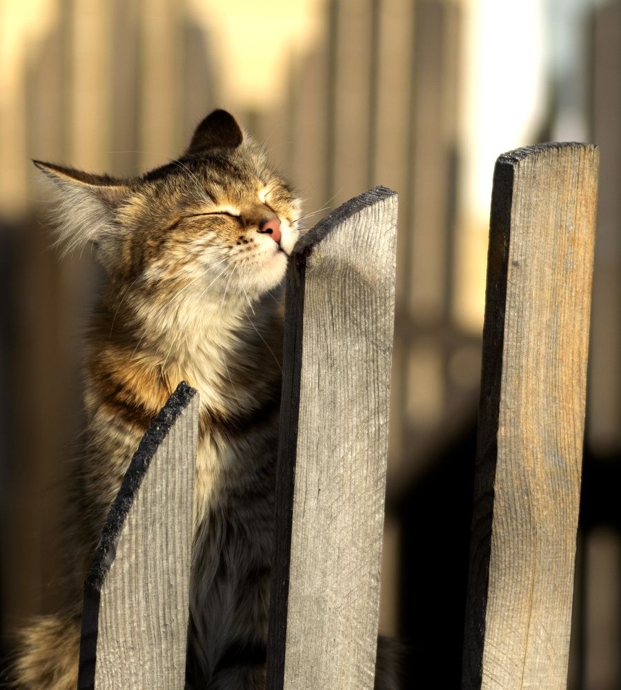 Photograph by Эльвира Быкова