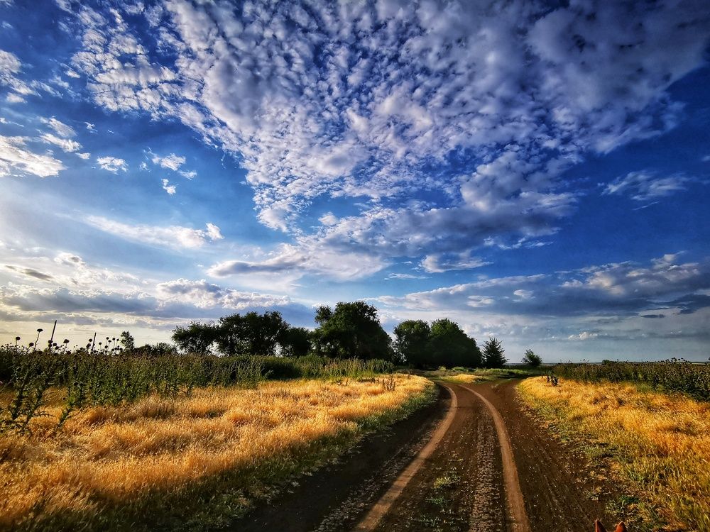 Photograph by Елена Артёменко