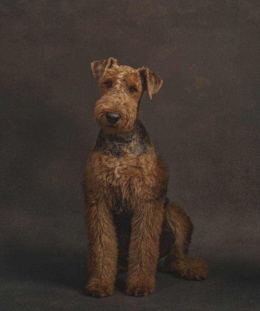 Photograph by Carmen Pascual