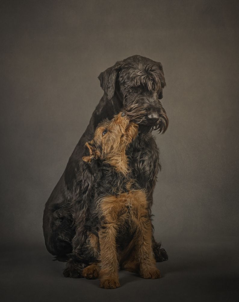 Photograph by Carmen Pascual